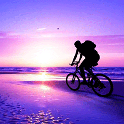 日出　自転車